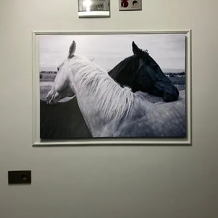 Beyoglu Huzur اسطنبول